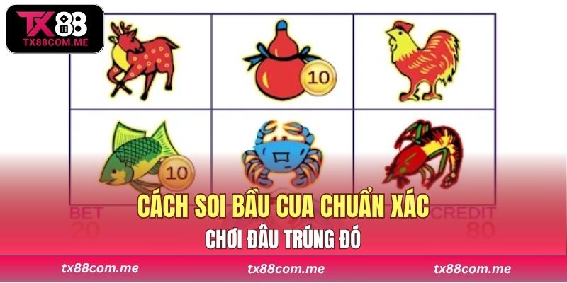 Cách soi bầu cua chuẩn xác, chơi đâu trúng đó