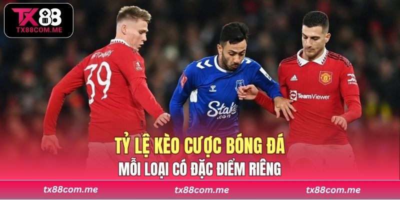 Mỗi loại có đặc điểm riêng